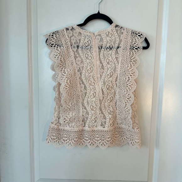 Zara Blush Pink/Beige Lace Cap Sleeves Floral Lace Doily Top, Small - Picture 12 of 13